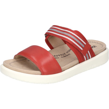 Westland  Sandalen Albi 04, rot-kombi günstig online kaufen