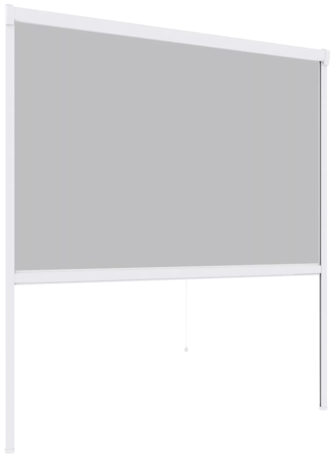 Windhager Insektenschutzrollo »PLUS«, transparent, BxH: 100x160 cm günstig online kaufen