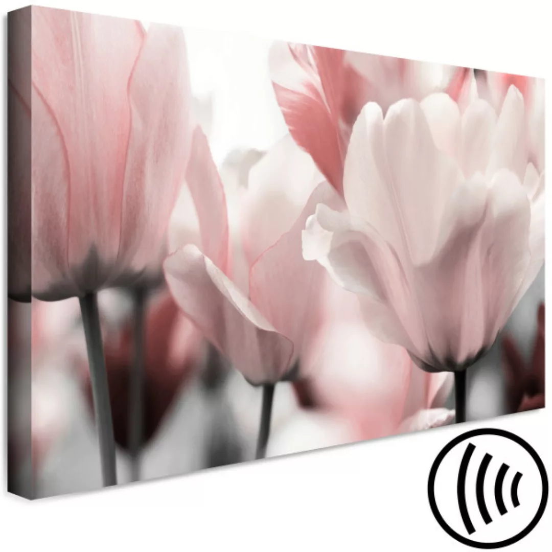 Bild auf Leinwand Fabulous Tulips (1 Part) Wide XXL günstig online kaufen