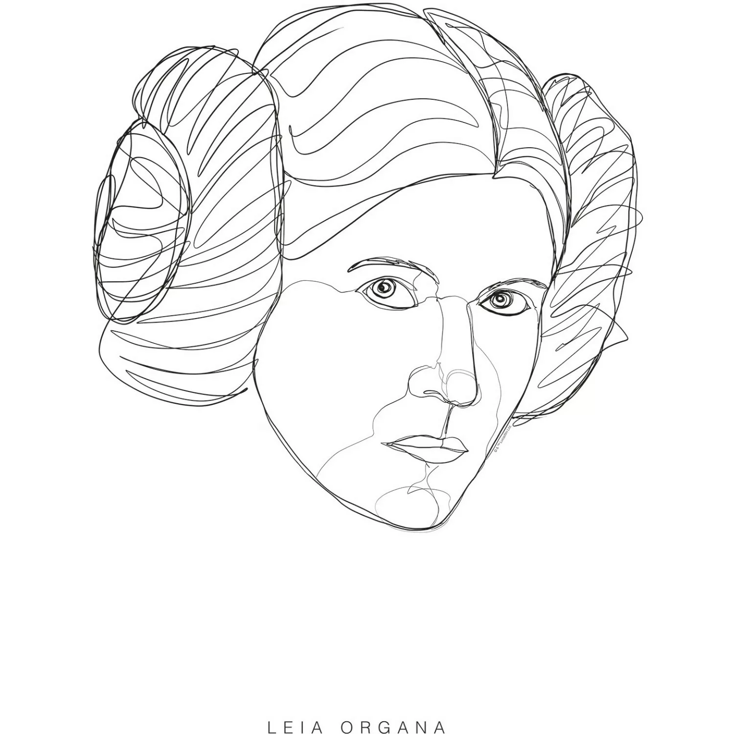 Komar Wandbild Star Wars Leia 50 x 70 cm günstig online kaufen