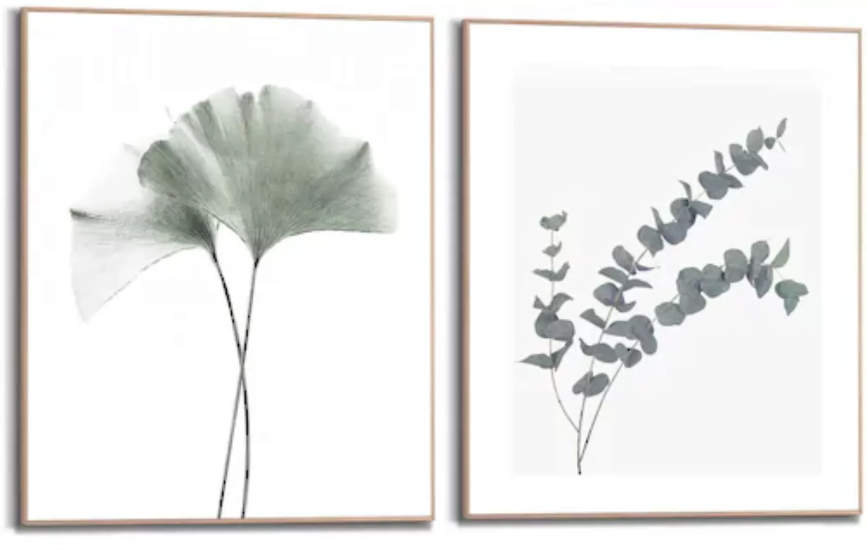Reinders! Bild mit Rahmen »Eukalyptus blatt Pflanze«, Blätter, (2 St.) günstig online kaufen