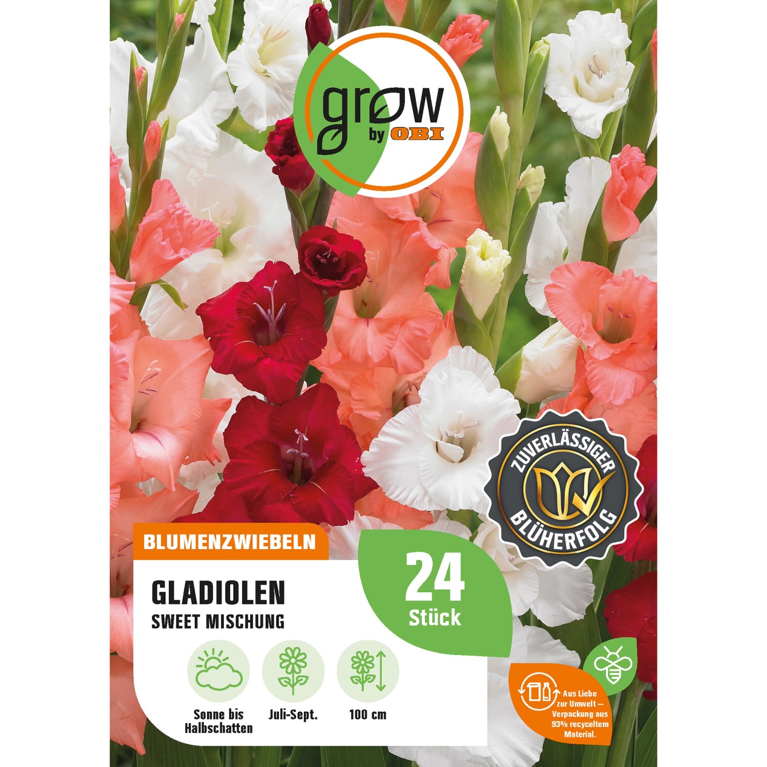 GROW by OBI Gladiolen Sweet Mischung Höhe ca. 100 cm Gladiolus grandiflorus günstig online kaufen