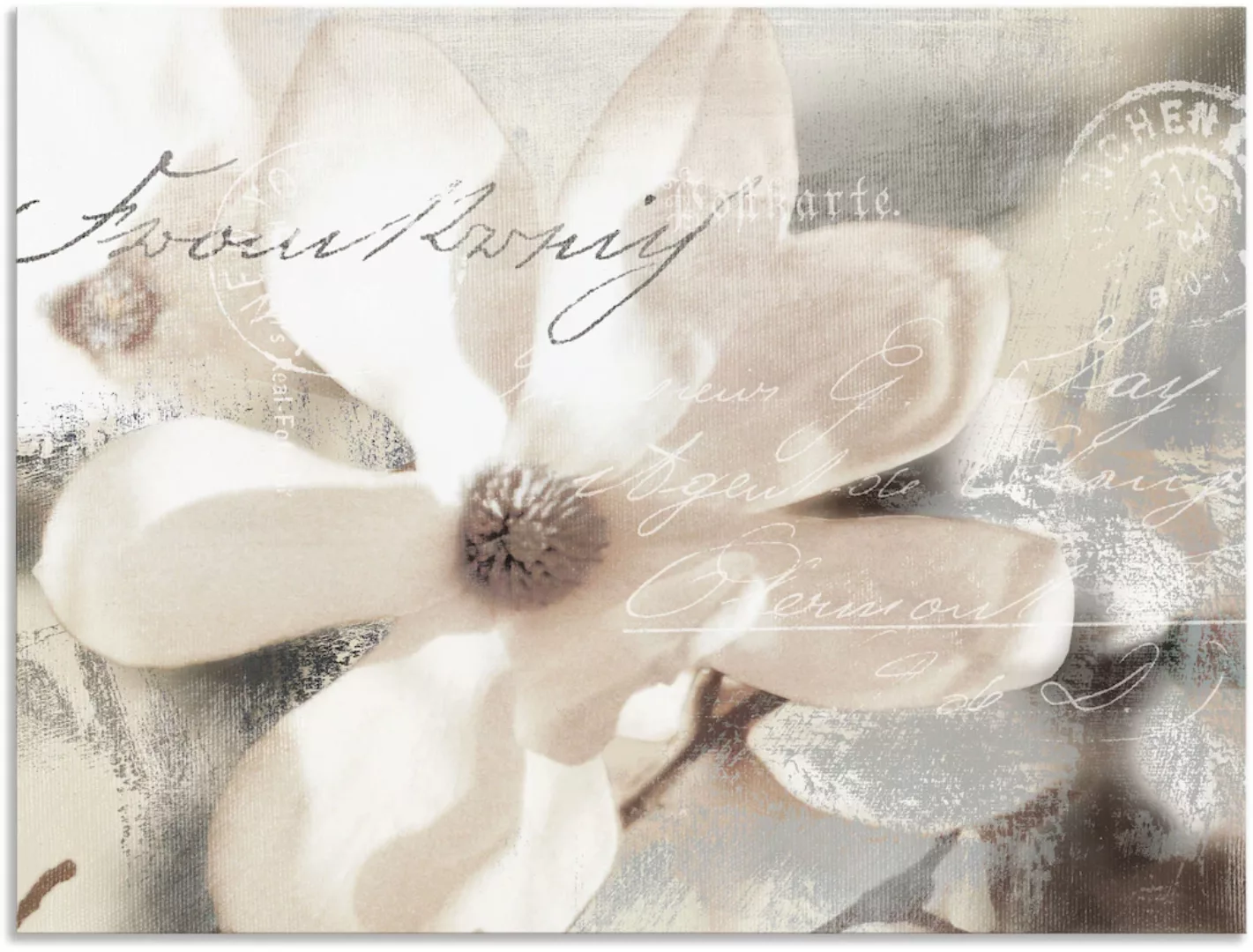 Artland Wandbild "Magnolie Detail", Blumenbilder, (1 St.) günstig online kaufen