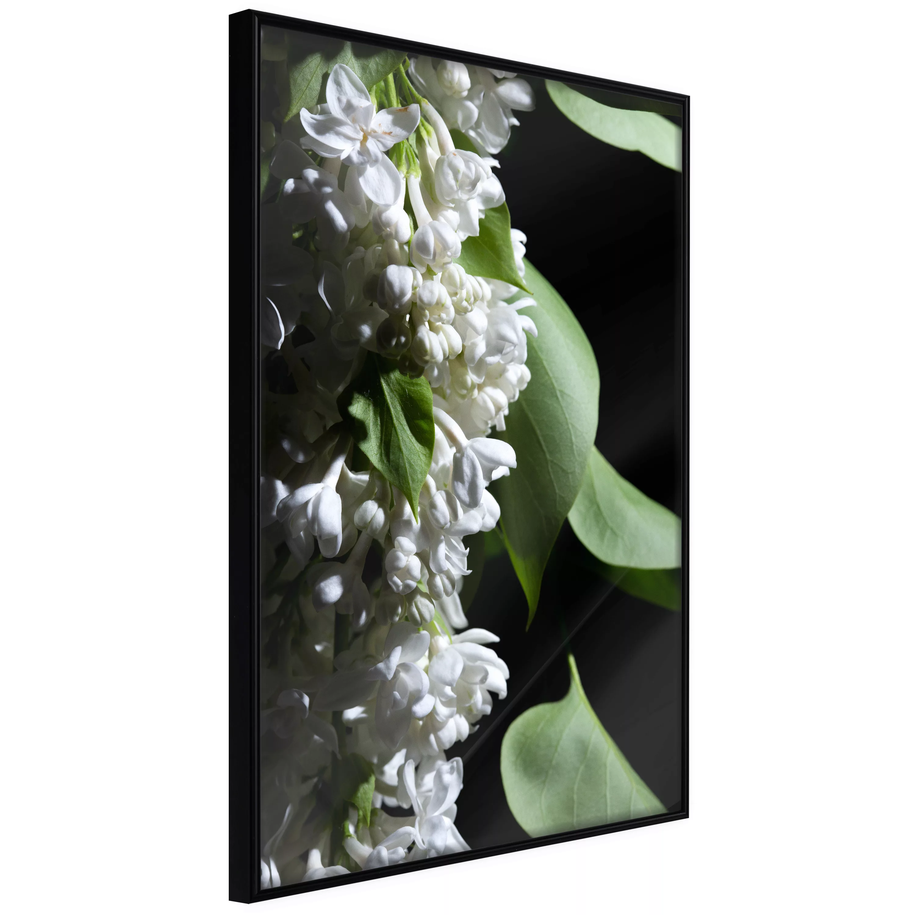 Poster - Fragrant Spring günstig online kaufen