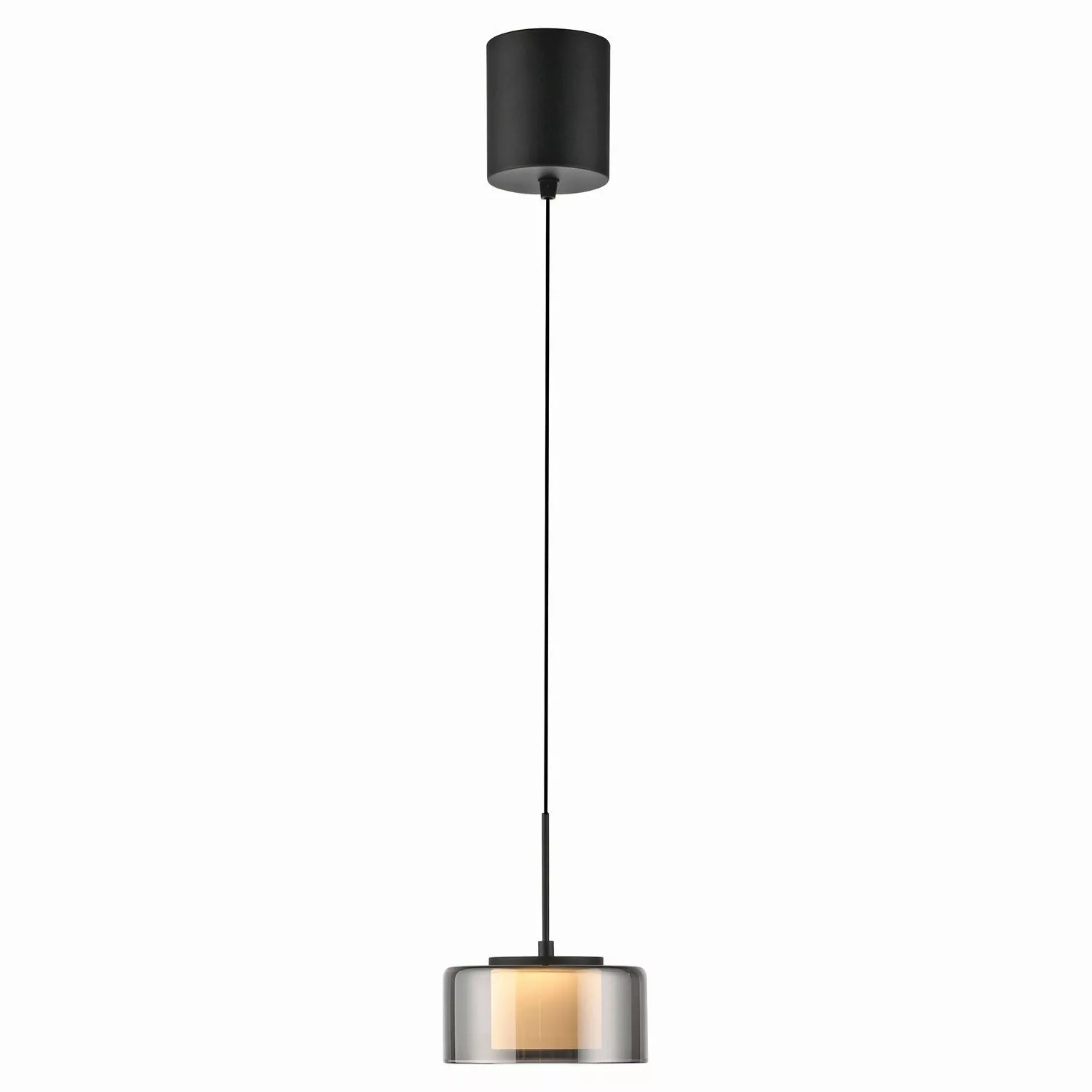 Paul Neuhaus LED Pendelleuchte RIKA, 1-flammig, günstig online kaufen