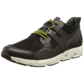 Josef Seibel  Halbschuhe Schnuerschuhe Noah 50 37650TE949/530 günstig online kaufen