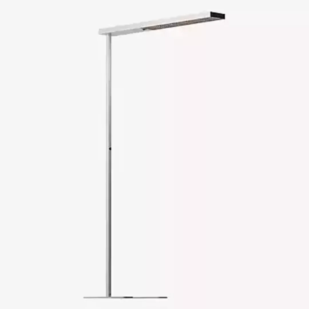 Grau Xt-a Plus Stehleuchte LED, satin/schwarz - 125 cm günstig online kaufen