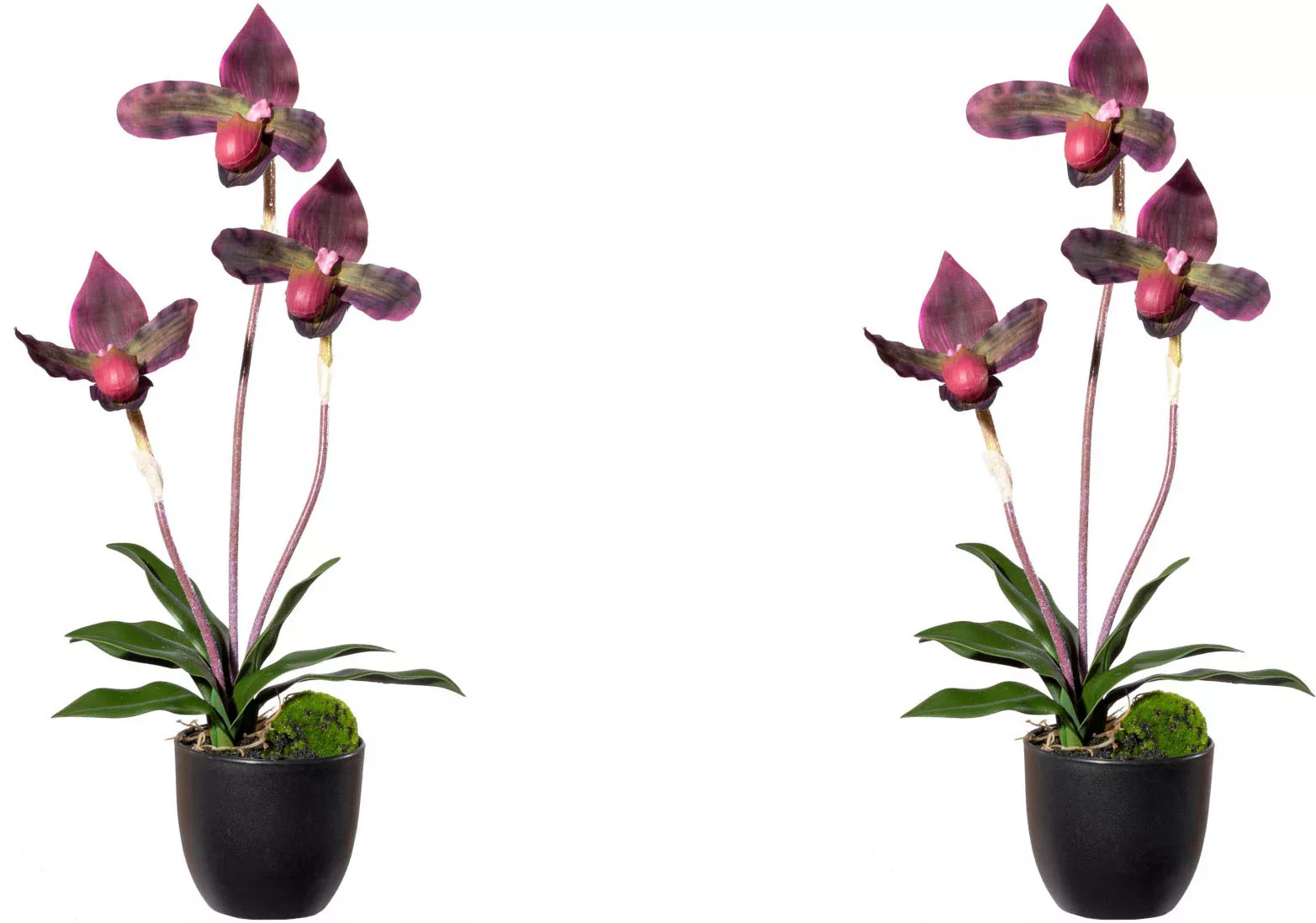 Creativ green Kunstorchidee "Orchidee Frauenschuh" günstig online kaufen