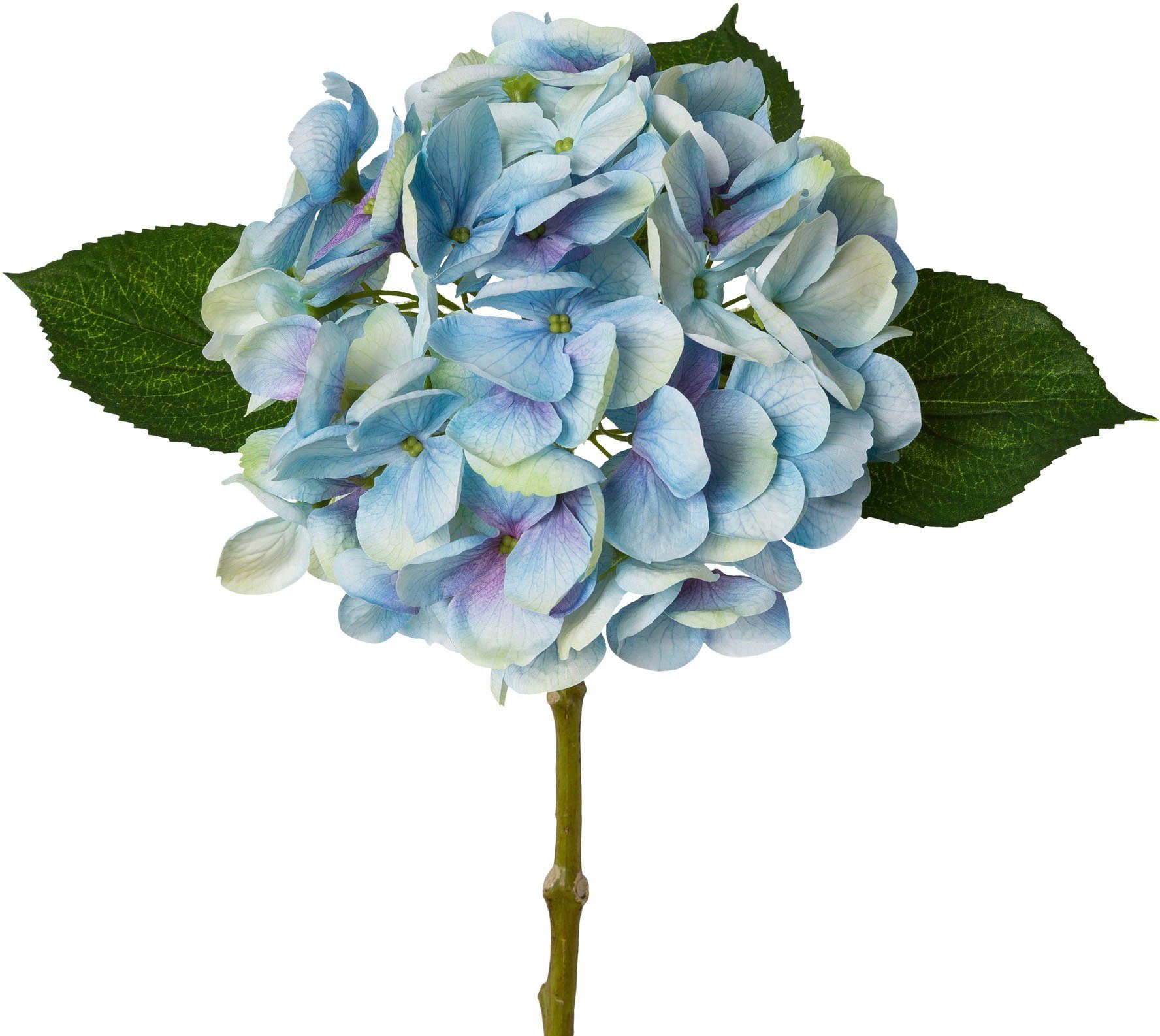 Kunstblume Hortensie Hortensie, Creativ green, Höhe günstig online kaufen
