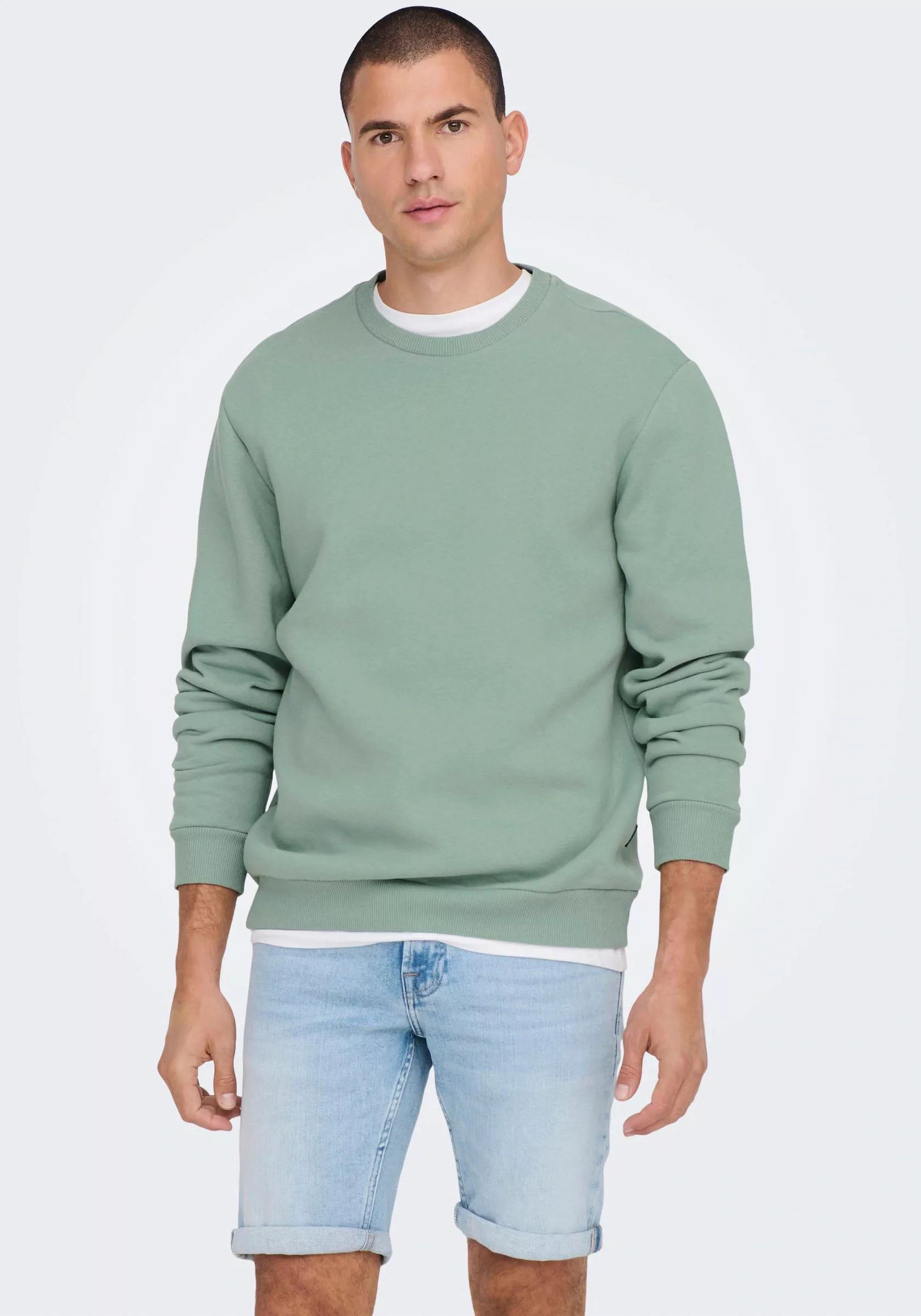 ONLY & SONS Sweatshirt ONSCERES CREW NECK NOOS günstig online kaufen