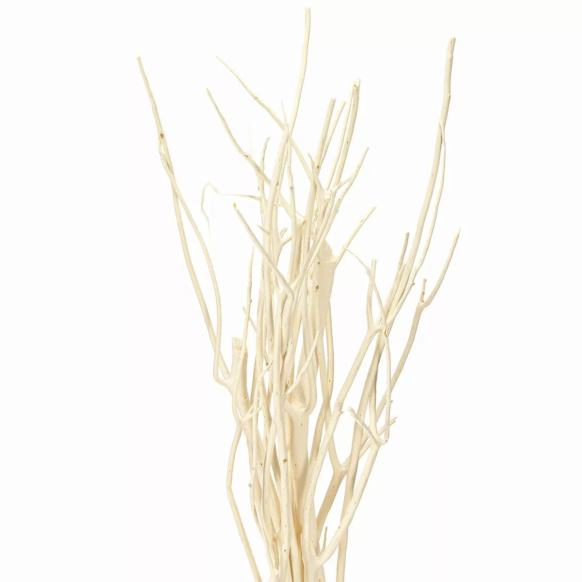 Trockenblume Mitsumata Zweige Weiß Deko 34-60cm günstig online kaufen