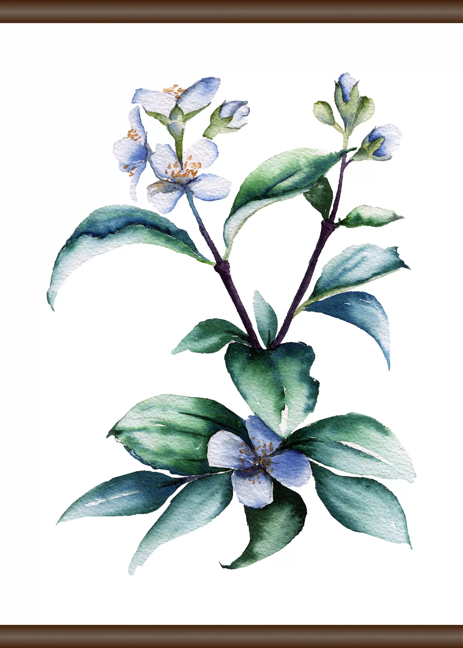 queence Leinwandbild "Lila Pflanze", 50x70 cm günstig online kaufen