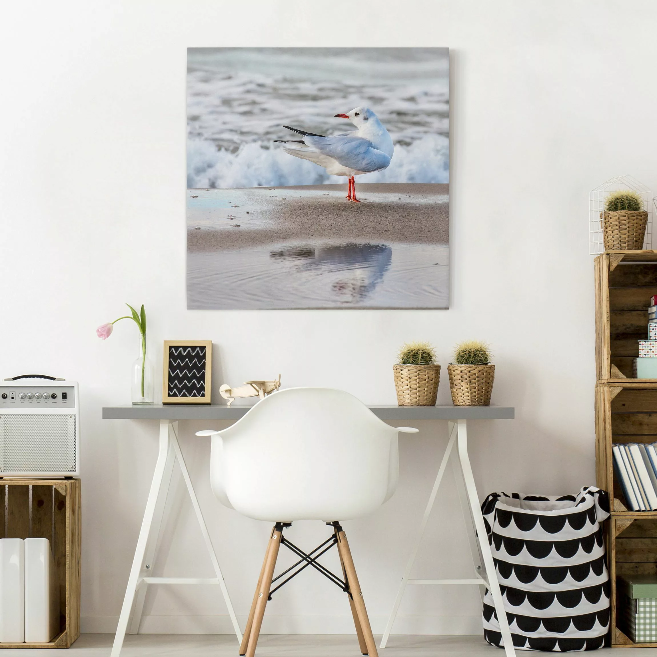 Leinwandbild Möwe am Strand vor Meer günstig online kaufen