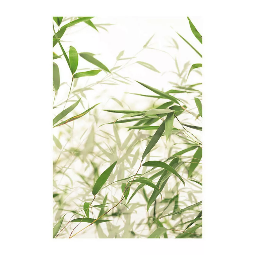 KOMAR Wandbild - Bamboo Leaves - Größe: 50 x 70 cm mehrfarbig Gr. one size günstig online kaufen