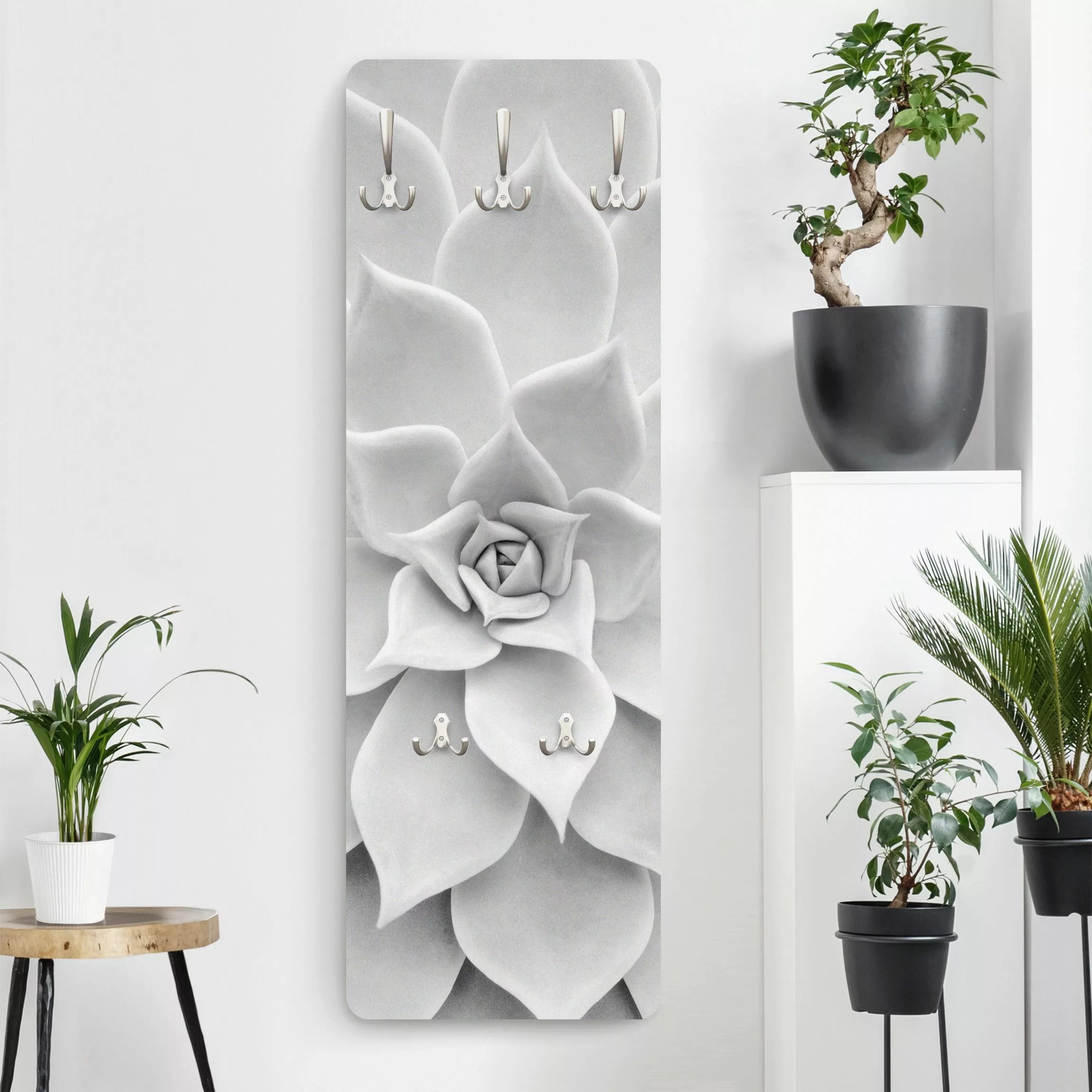 Wandgarderobe Holzpaneel Blumen Kaktus Sukkulente günstig online kaufen