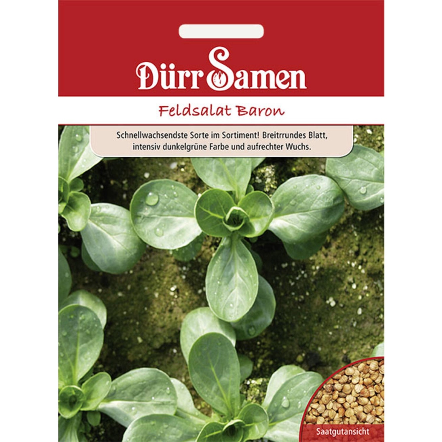 Dürr Samen Feldsalat Baron Saatgut günstig online kaufen