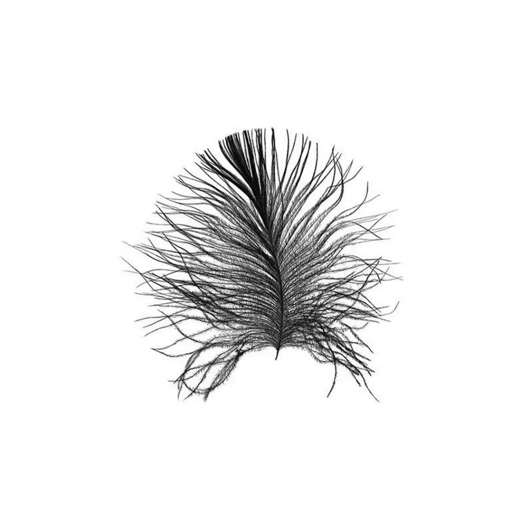 KOMAR Wandbild - Feather Black - Größe: 50 x 70 cm mehrfarbig Gr. one size günstig online kaufen