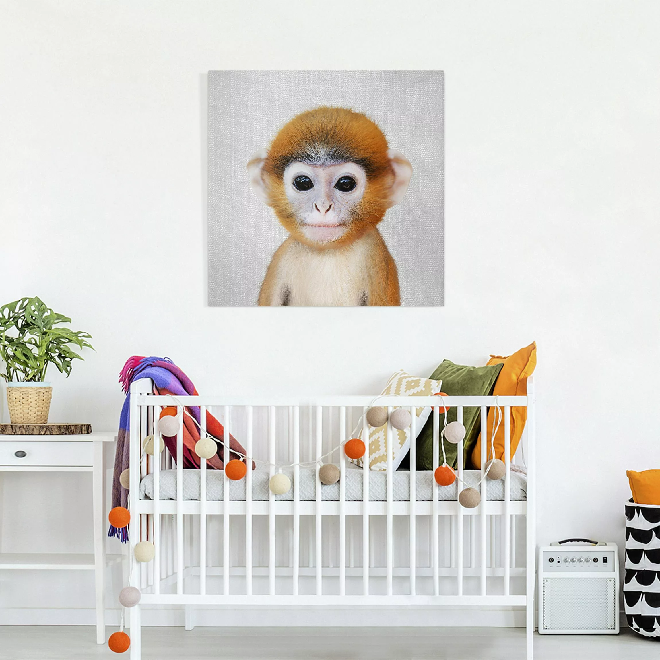 Leinwandbild Baby Affe Anton günstig online kaufen