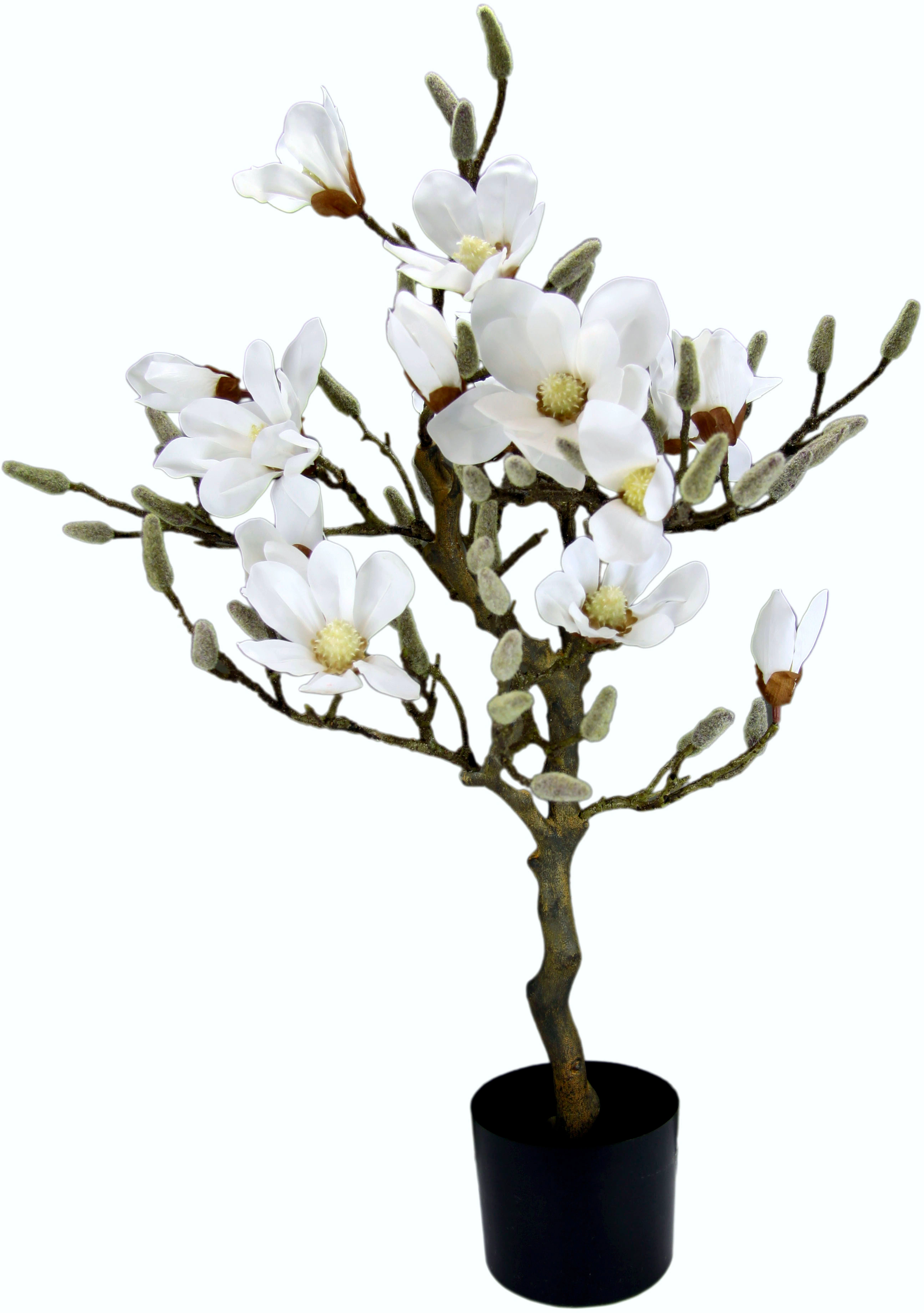 I.GE.A. Kunstbaum "Magnolienbaum", im Kunststofftopf günstig online kaufen