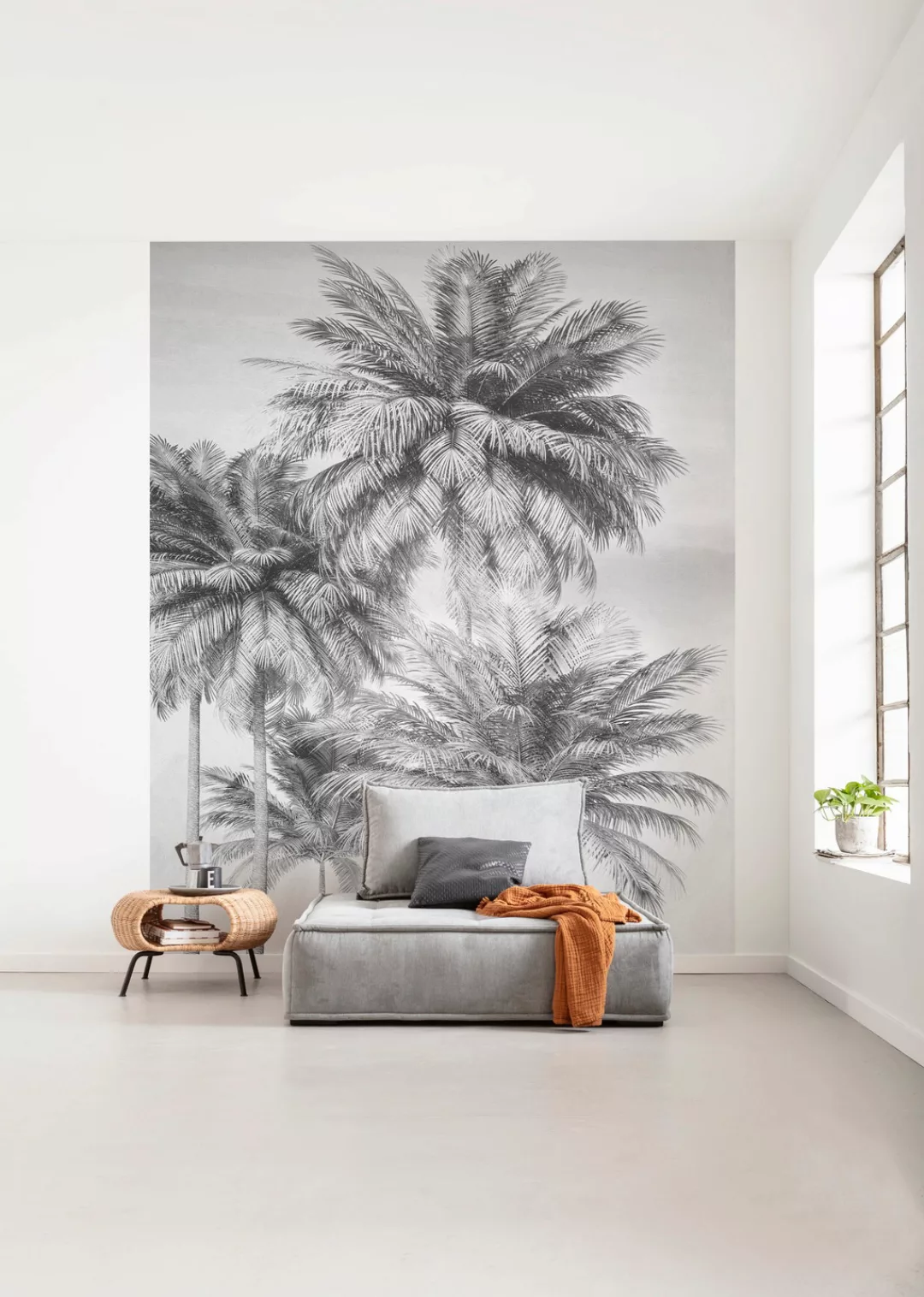 KOMAR Vlies Fototapete - Cocco  - Größe 200 x 250 cm mehrfarbig günstig online kaufen