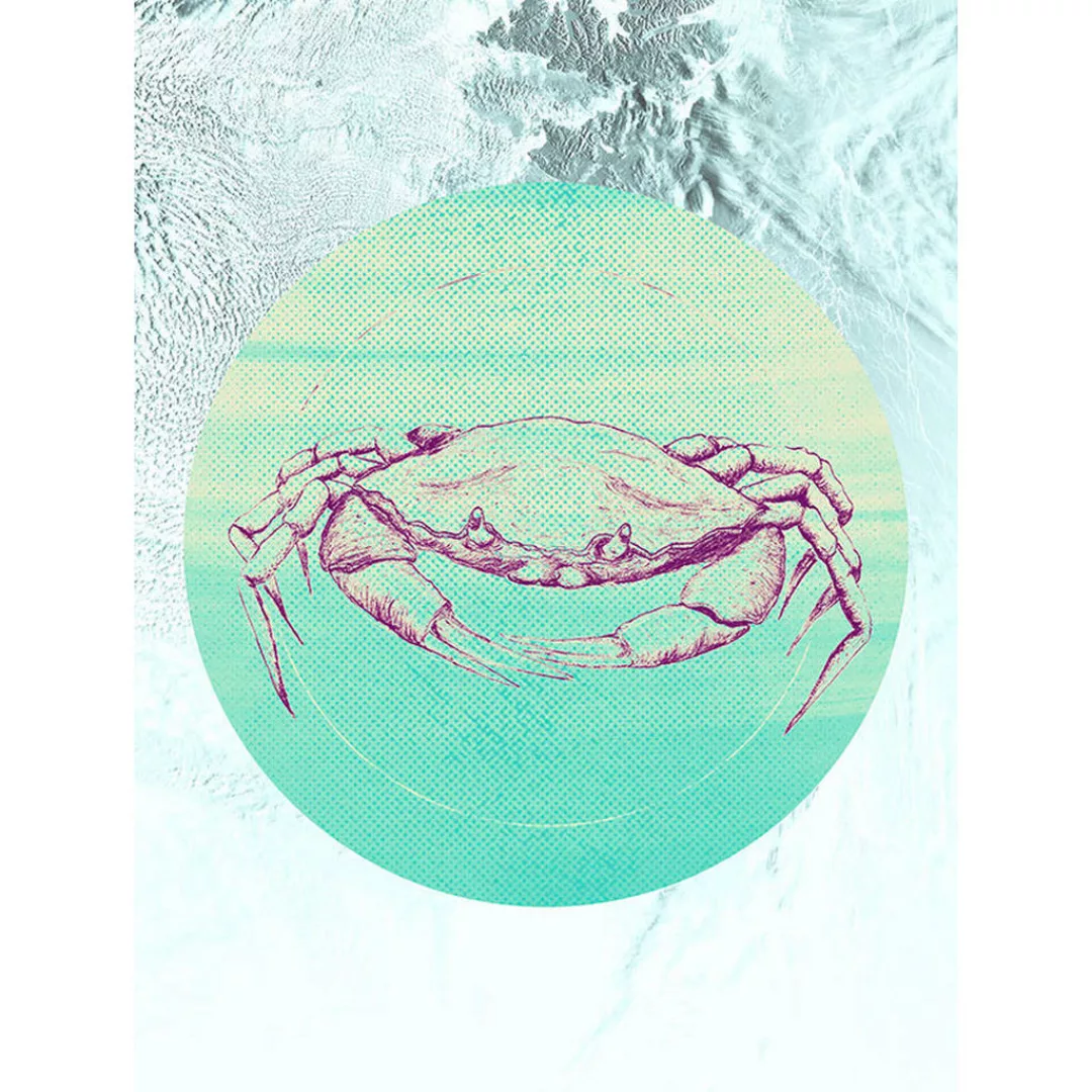 Komar Wandbild Crab Sea Tiere B/L: ca. 30x40 cm günstig online kaufen