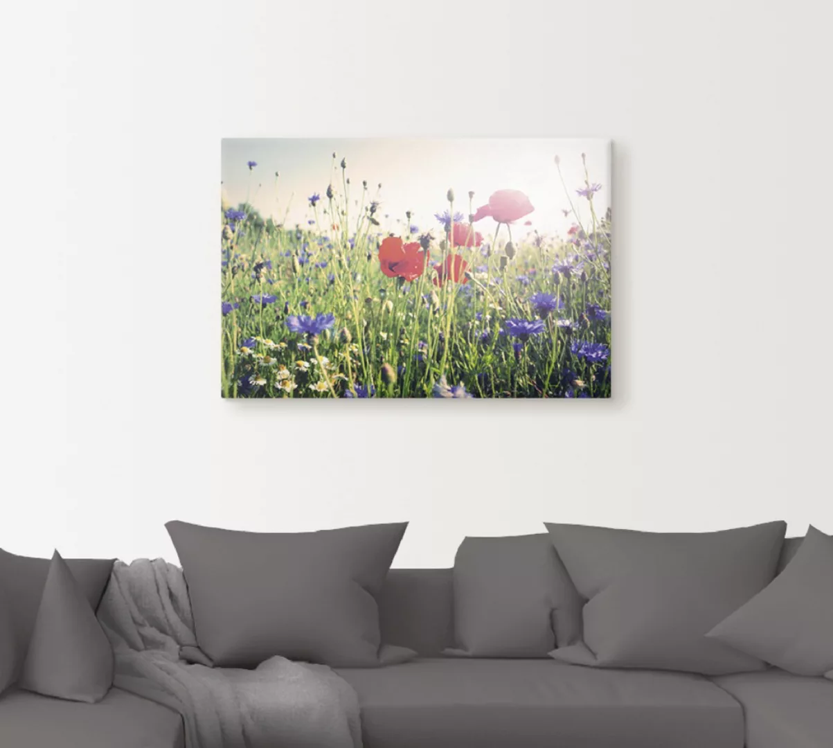 Artland Wandbild "Mohnblume im Feld", Blumen, (1 St.), als Leinwandbild, Po günstig online kaufen