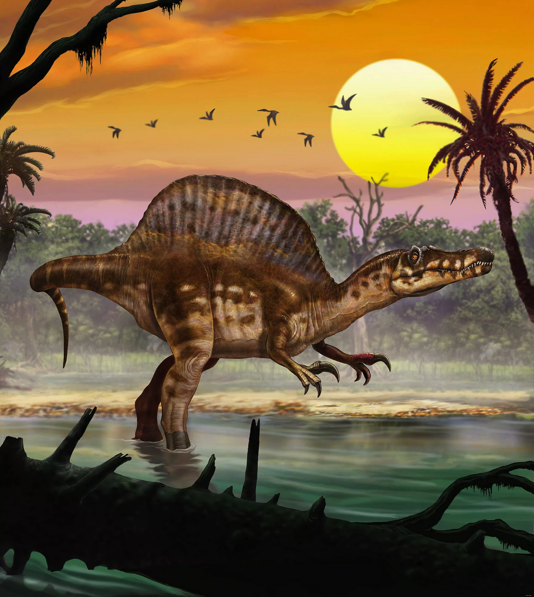 KOMAR Vlies Fototapete - Spinosaurus - Größe 250 x 280 cm mehrfarbig günstig online kaufen