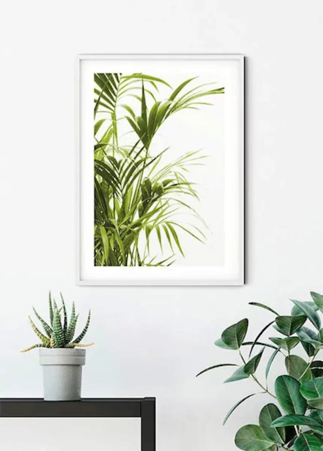 Komar Poster »Reed Leaves«, Pflanzen-Blätter, (1 St.) günstig online kaufen