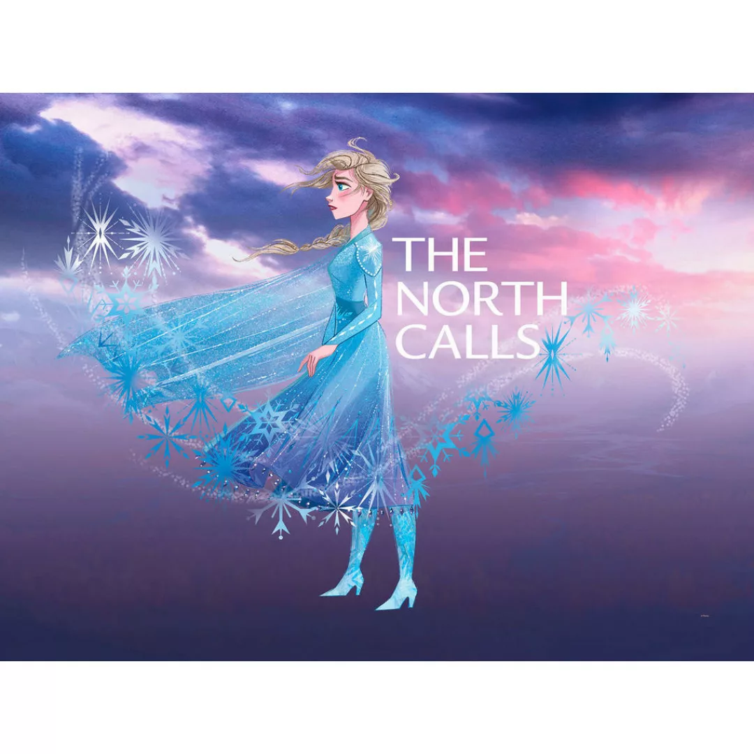 Komar Wandbild Frozen Elsa The North Calls Disney B/L: ca. 40x30 cm günstig online kaufen