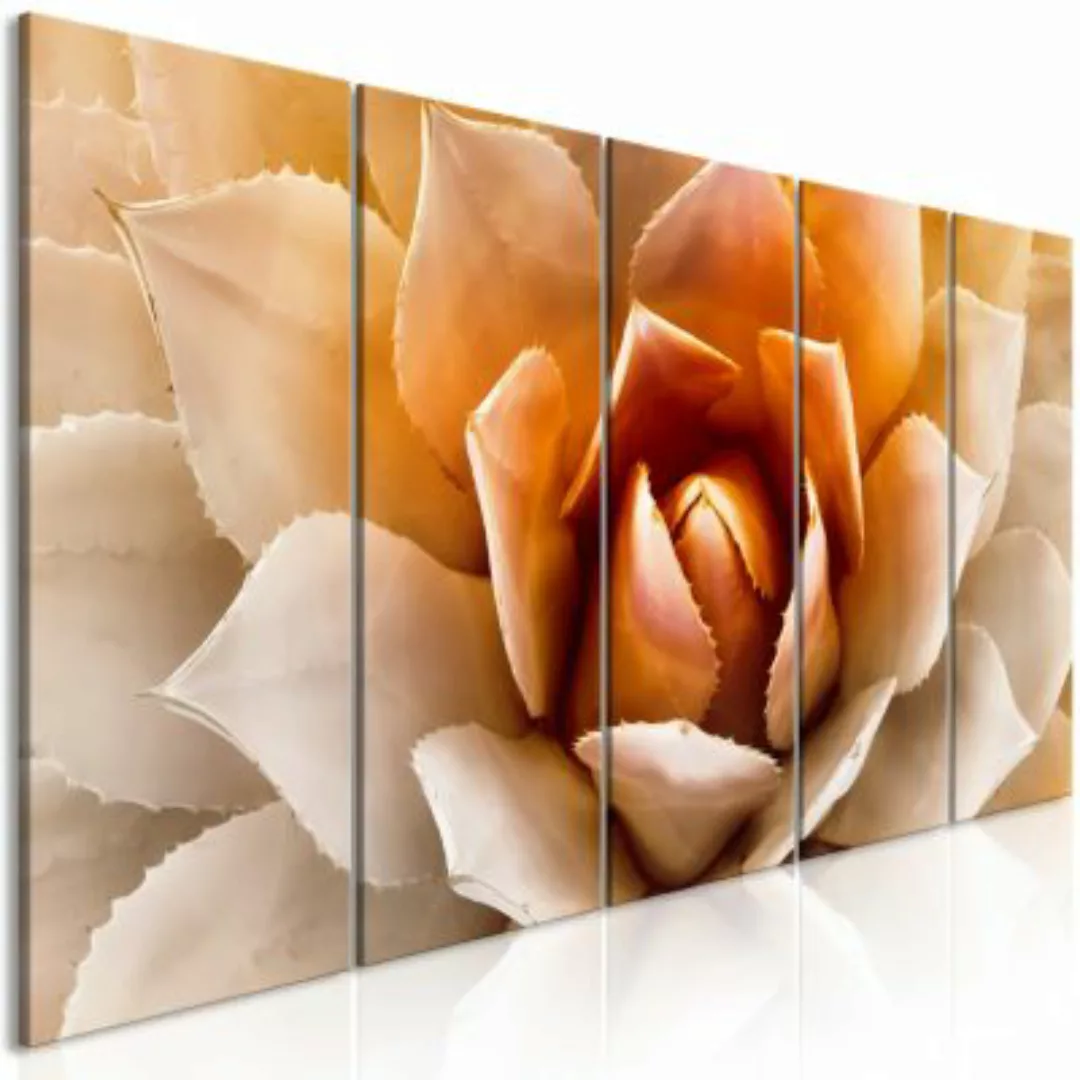 artgeist Wandbild Agave (5 Parts) Narrow Orange orange-kombi Gr. 200 x 80 günstig online kaufen