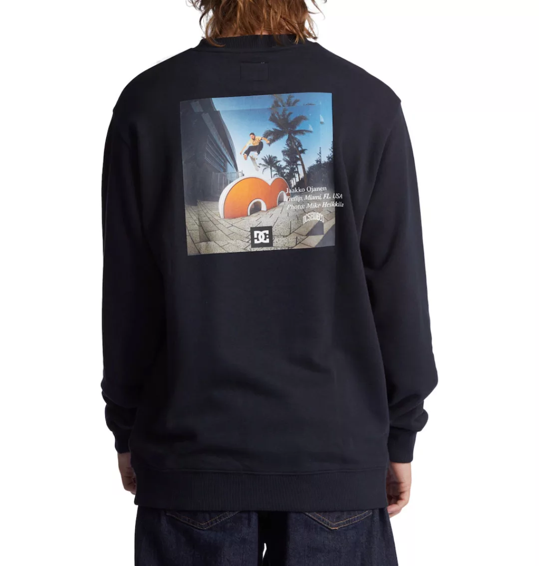 DC Shoes Sweatshirt "Jaakko" günstig online kaufen