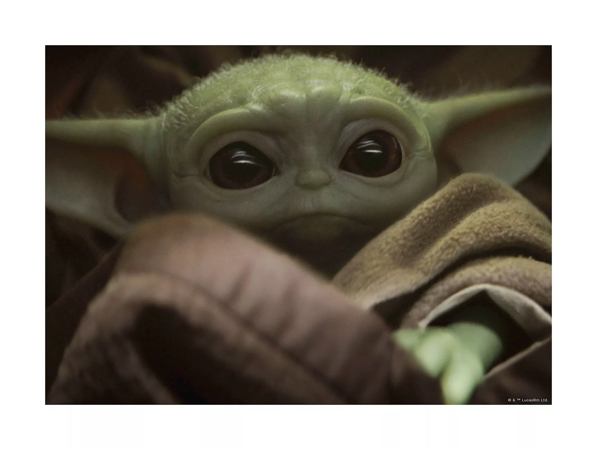 Komar Wandbild "Mandalorian The Child Cute Face", Disney-Star Wars, (1 St.) günstig online kaufen