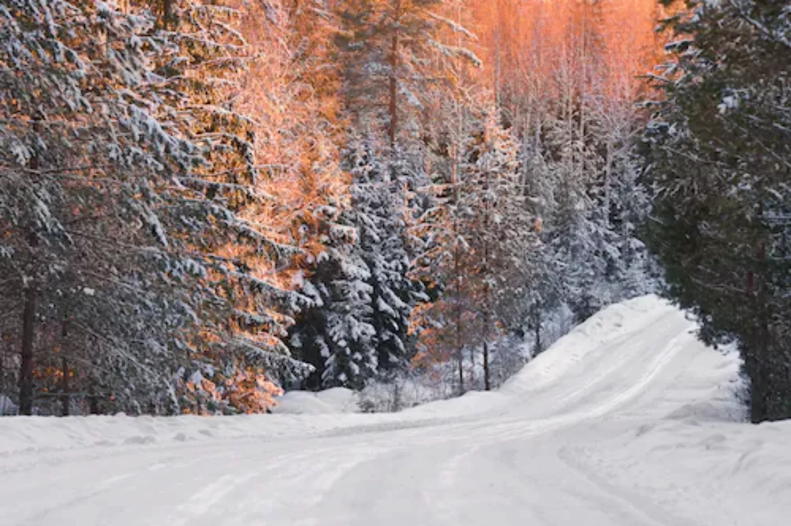 Papermoon Fototapete »Schneelandschaft« günstig online kaufen