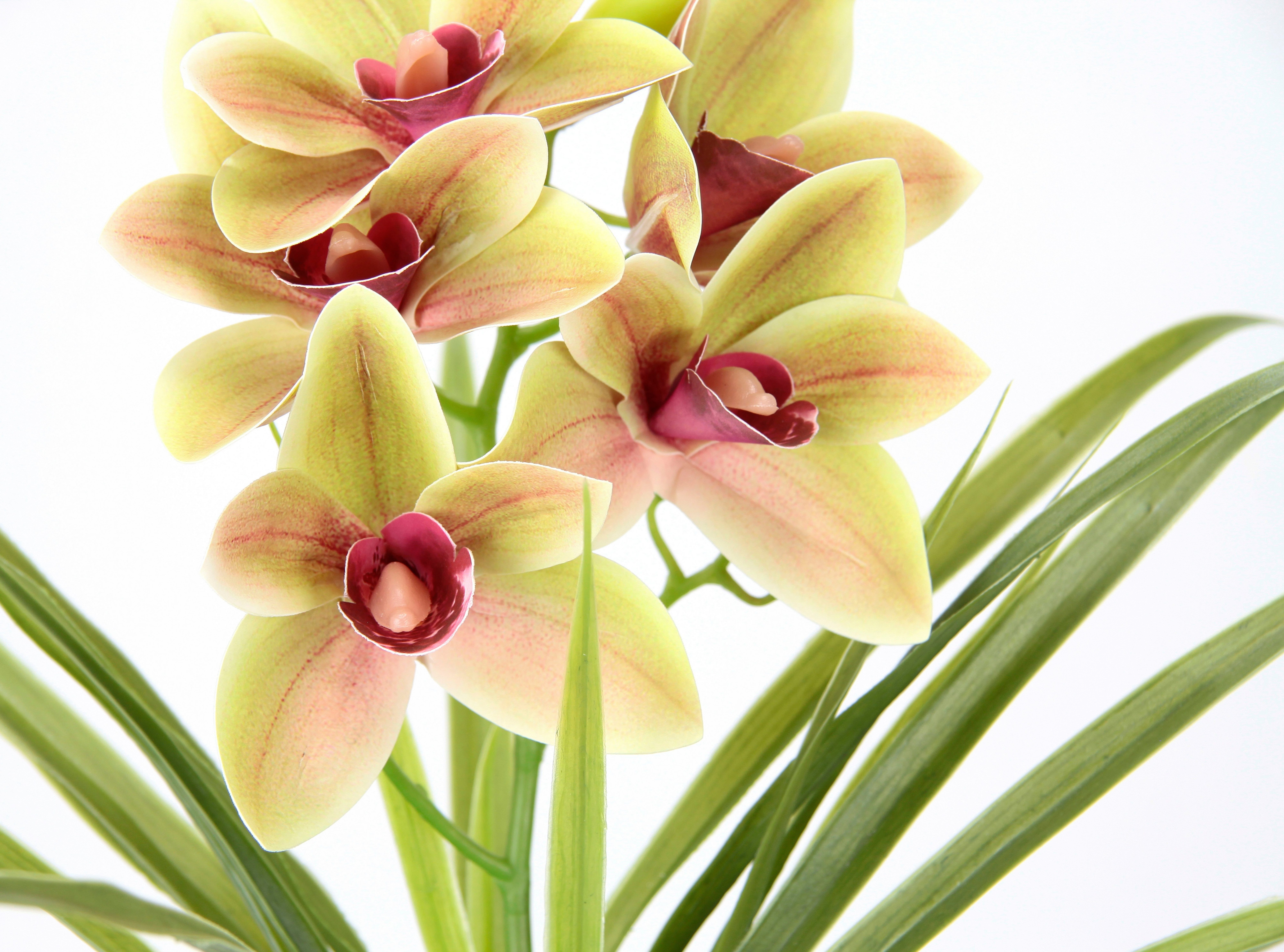 Kunstblume Orchidee, my home, Höhe 40 günstig online kaufen