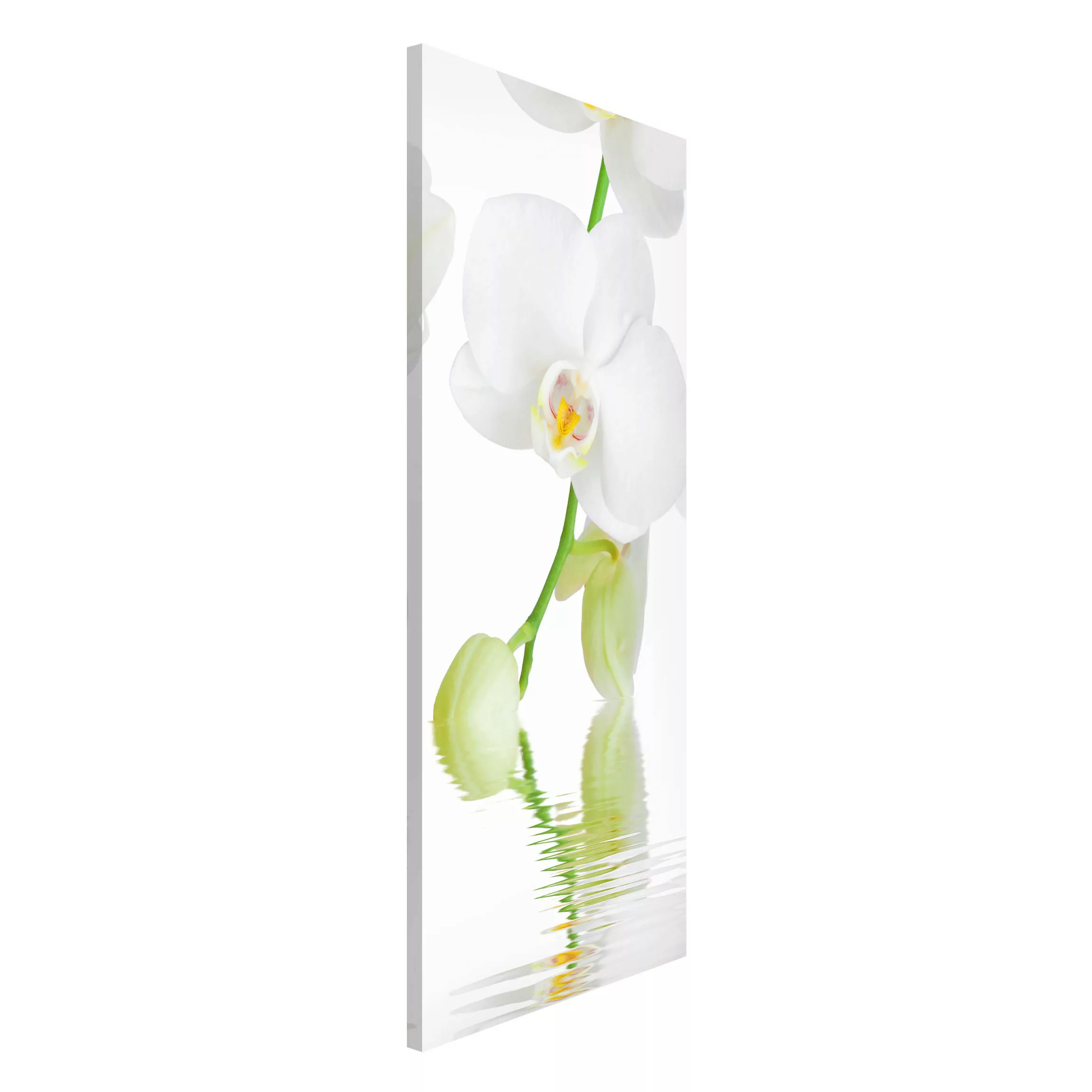 Magnettafel Blumen - Hochformat 1:2 Orchideen Wellness Orchidee günstig online kaufen