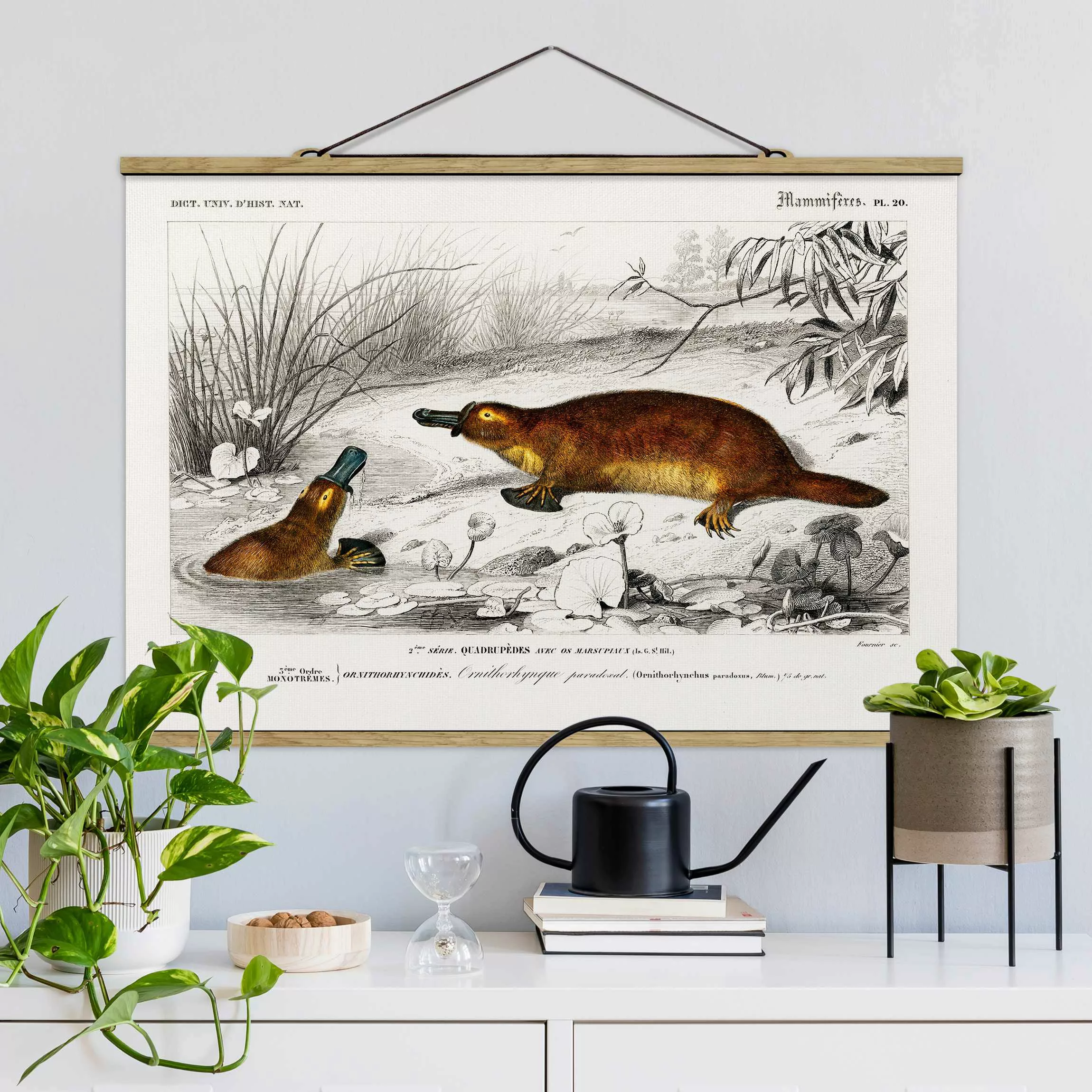 Stoffbild Tiere mit Posterleisten - Querformat Vintage Lehrtafel Schnabelti günstig online kaufen