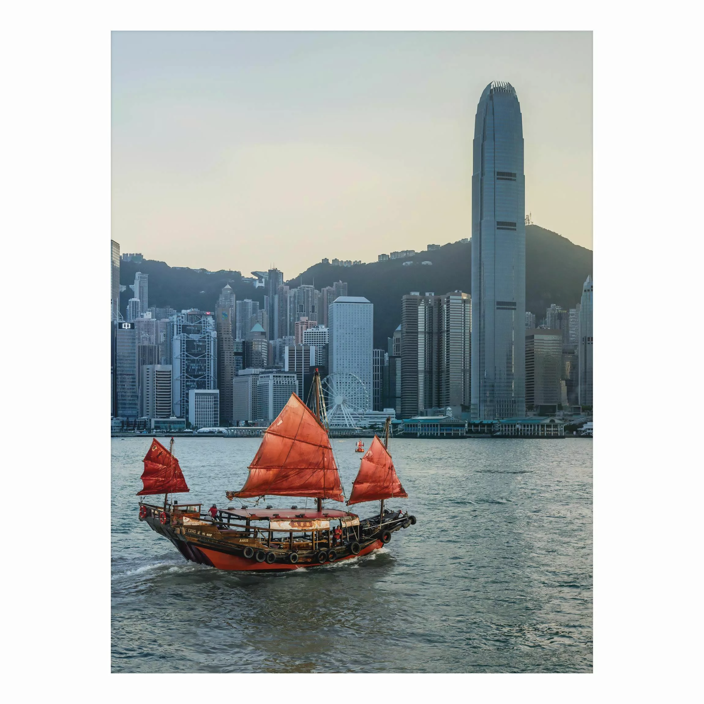 Alu-Dibond Bild Dschunke im Victoria Harbour günstig online kaufen