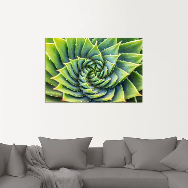 Artland Wandbild "Grüne Spirale", Pflanzenbilder, (1 St.), als Alubild, Lei günstig online kaufen