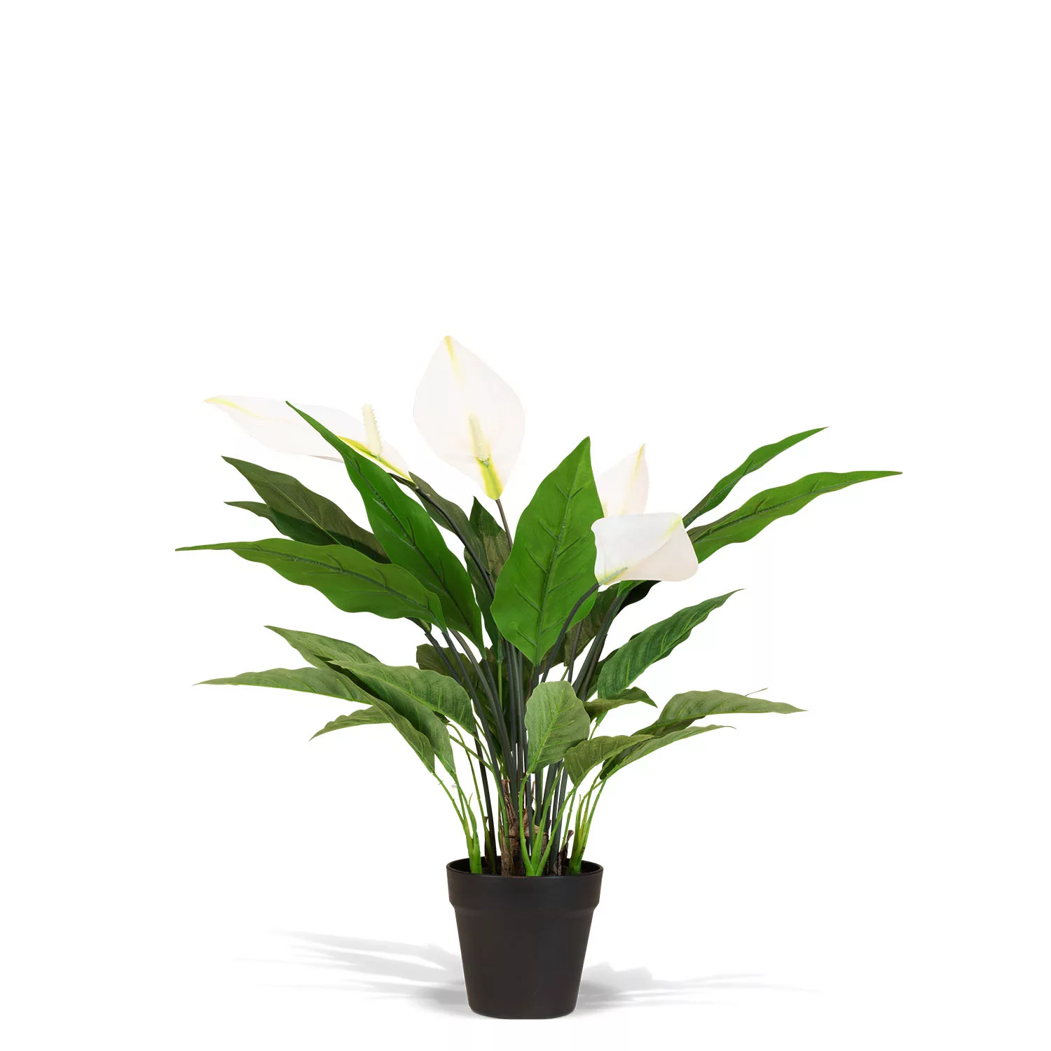 Spathiphyllum - Einblatt Kunstpflanze, UV Stabil günstig online kaufen