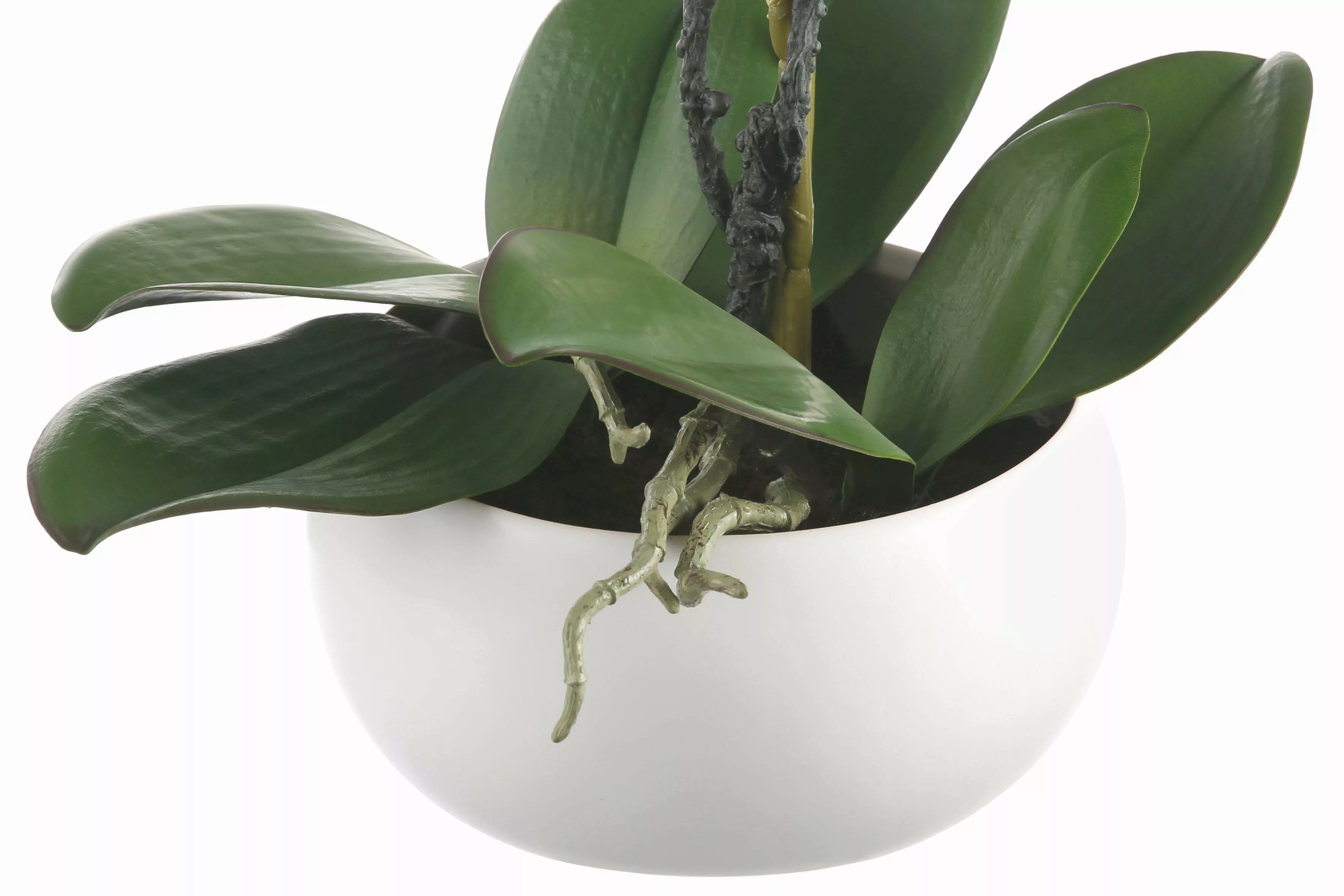 Creativ green Kunstpflanze "Orchidee" günstig online kaufen