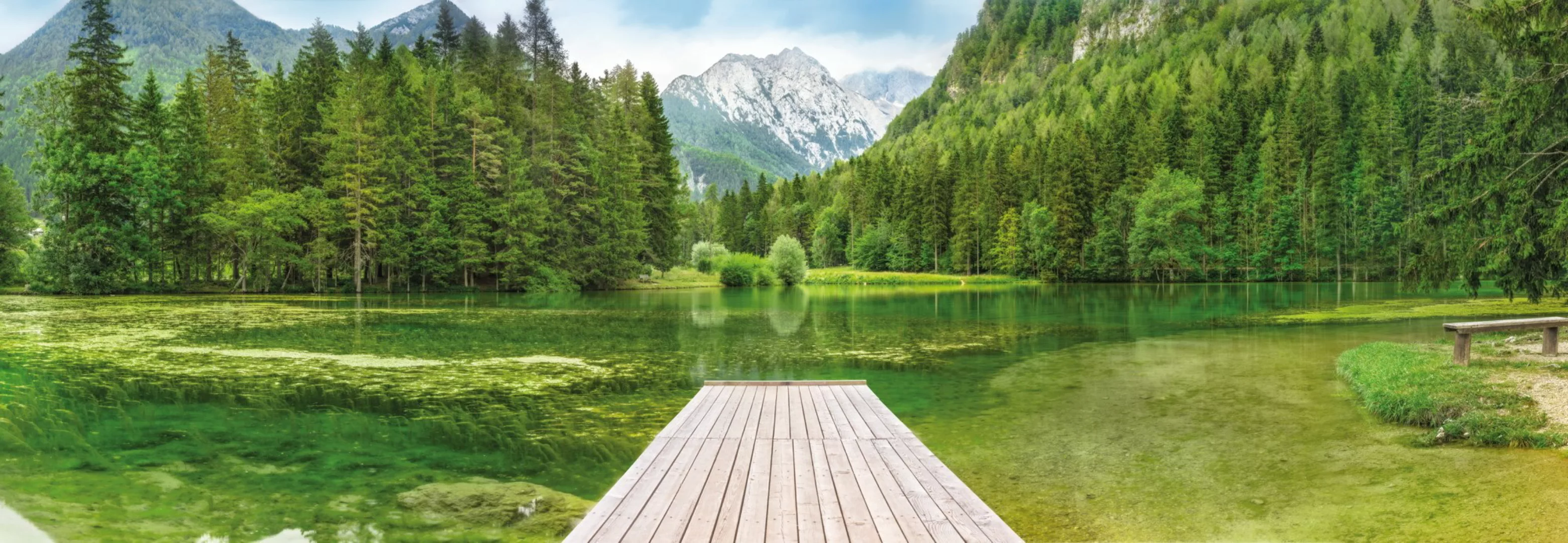 Komar Fototapete Green Lake 368 cm x 127 cm FSC® günstig online kaufen