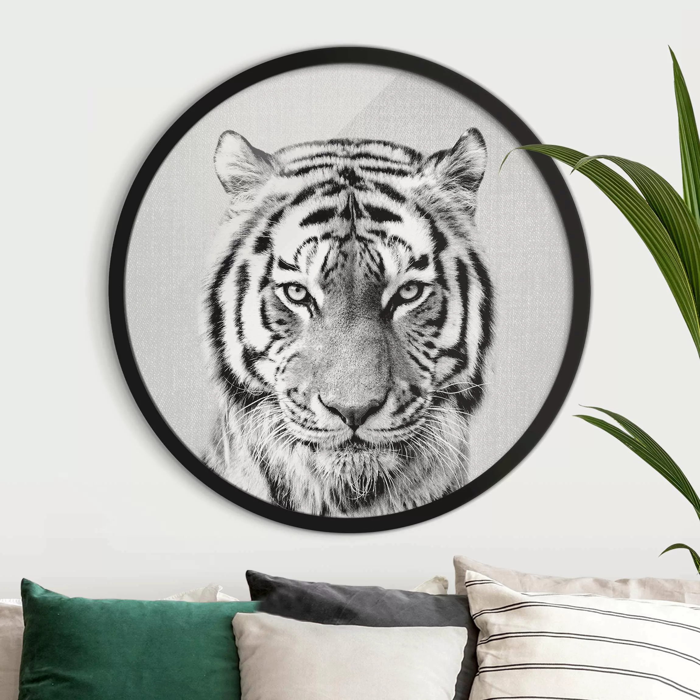 Rundes Gerahmtes Bild Tiger Tiago Schwarz Weiß günstig online kaufen