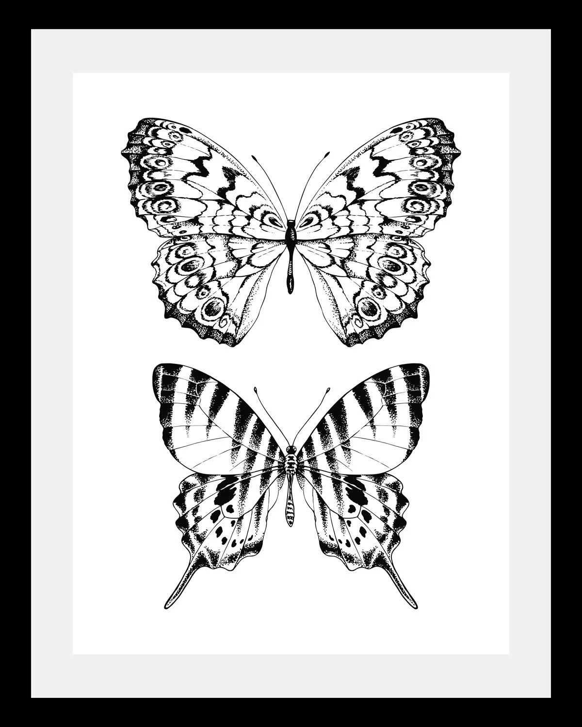 queence Bild »Schmetterlinge«, Tiere-Schwarz-Weiß-Kunst-Insekten-Schmetterl günstig online kaufen