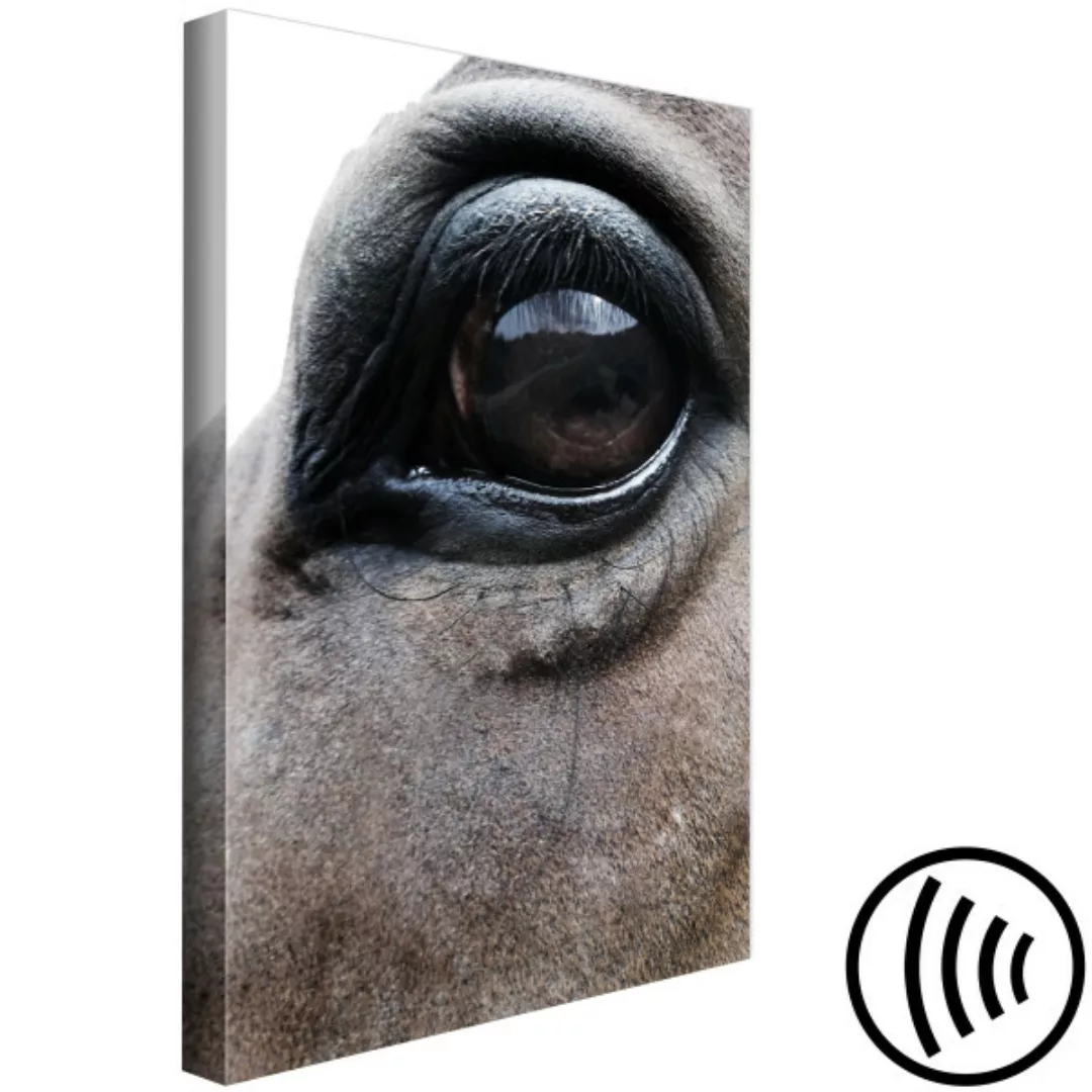 Bild auf Leinwand Pferdeaugen - Foto mit tierischem Porträt in getönten Far günstig online kaufen