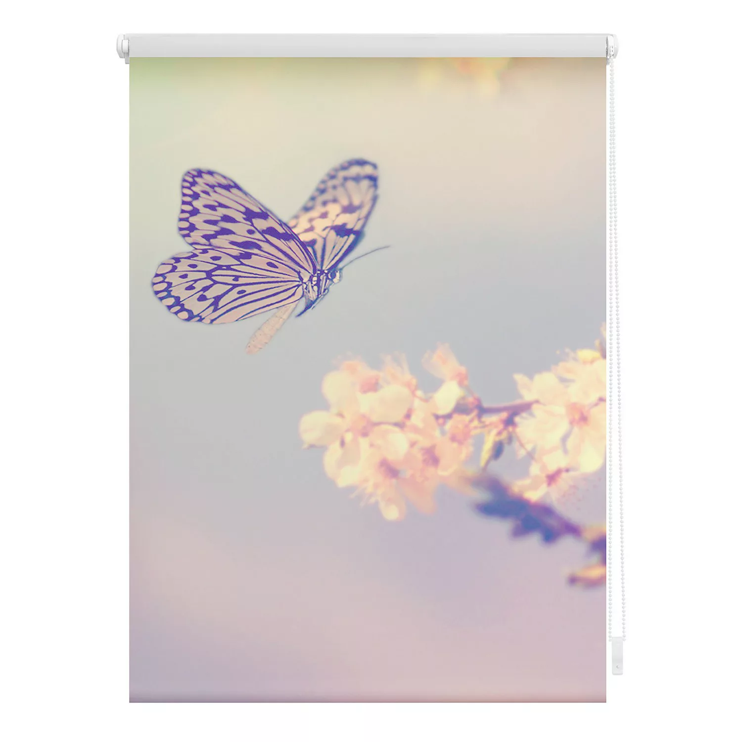 Verdunkelungsrollo Schmetterling rosa B/L: ca. 45x150 cm günstig online kaufen