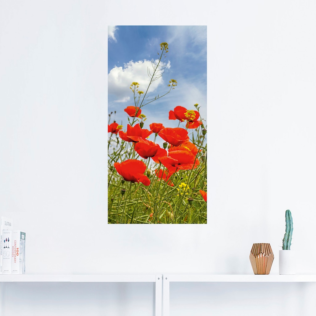 Artland Wandbild "Mohnblumen im Panorama", Blumenbilder, (1 St.), als Alubi günstig online kaufen
