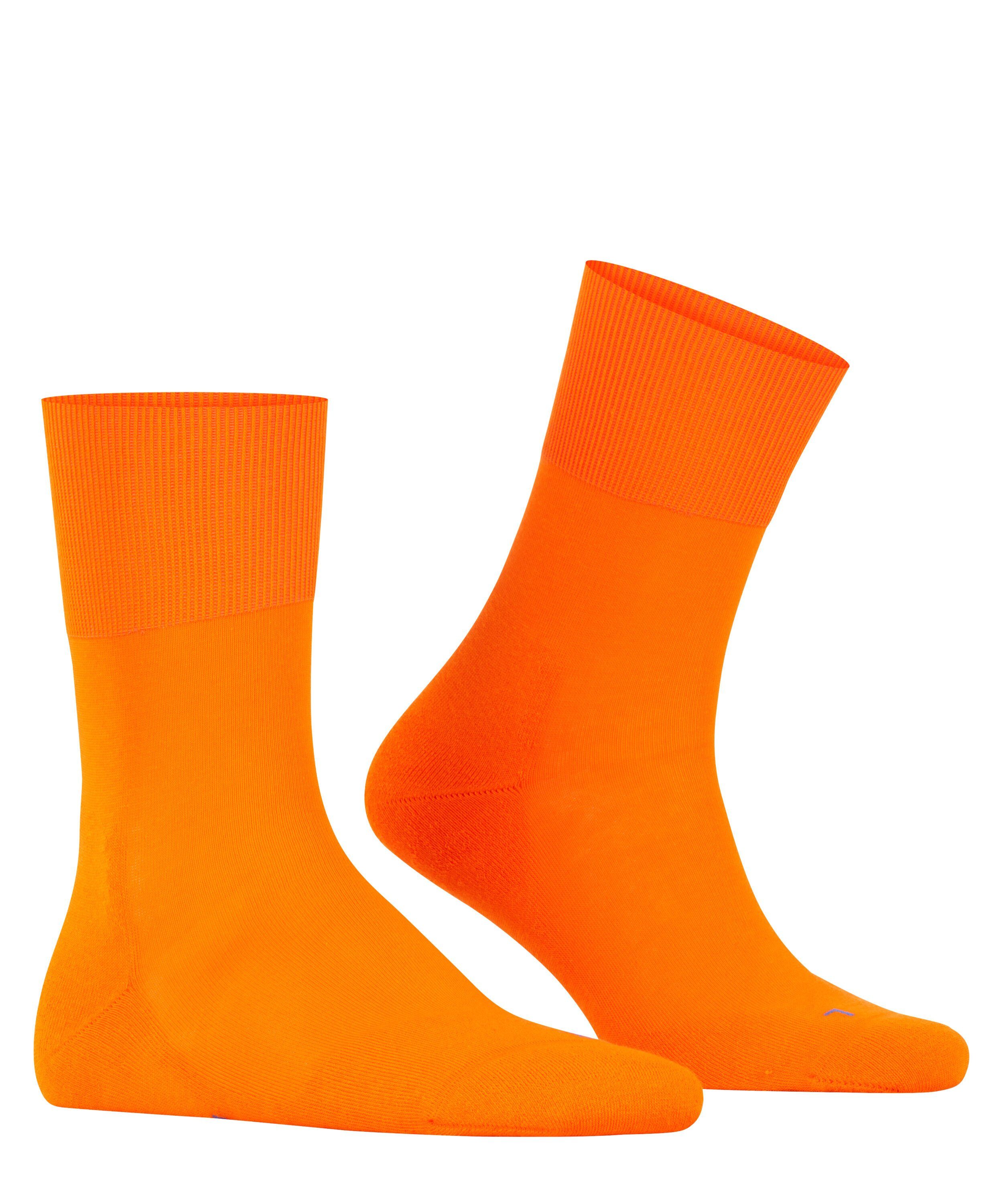Falke Unisex Socken Run günstig online kaufen