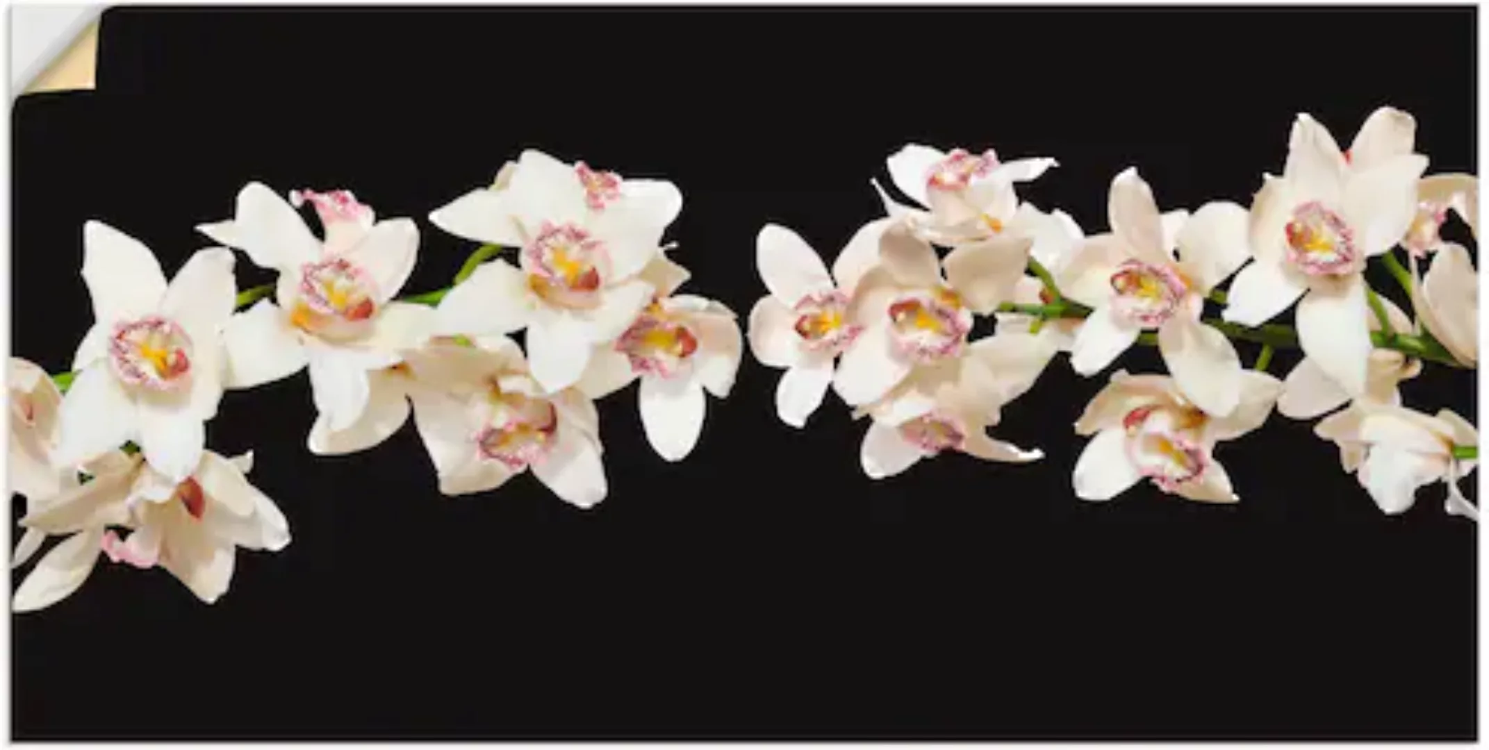 Artland Wandfolie »Weiße Orchideen«, Blumen, (1 St.), selbstklebend günstig online kaufen