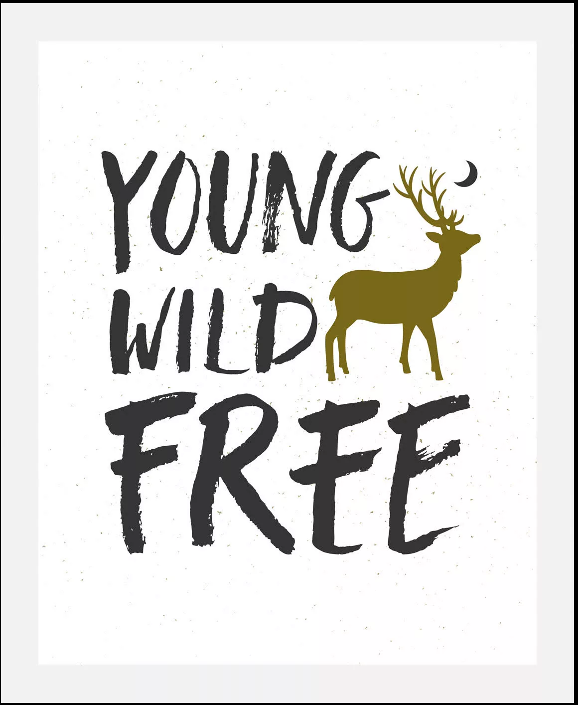 queence Bild "Young Wild Free", Schriftzüge-Schriftzug-Sprüche & Texte-Moti günstig online kaufen