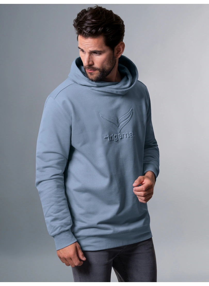 Trigema Kapuzensweatshirt "TRIGEMA Kapuzenpullover mit großem 3D-Motiv" günstig online kaufen